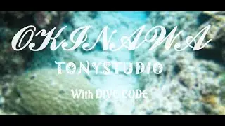 [OKINAWA JAPAN] 2018.07 THALASSOPHILE SCUBA TOUR (Feat. DIVECODE, Hongstar Dive)
