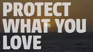 Protect what you love - SECORE celebrates World Oceans Day 2018