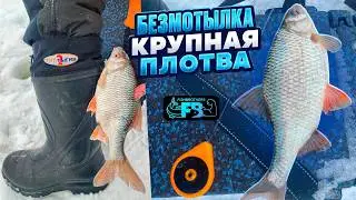 Жор на гвоздежорик! Перестали ловить, набили по ящику.