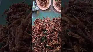 กินแมลงกัน#streetfood
