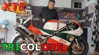 TRICOLORE BY XTR
