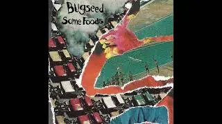 BUGSEED - GENTLE (SPRING BREAK TAPES/2014)