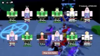 Roblox for index 16 pet equipe lest go