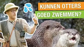 DIT WIST JIJ NOG NIET OVER OTTERS! 🦦 | Op pad met Niels #2