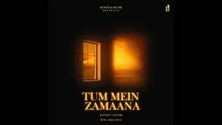 TUM MEIN ZAMAANA (feat. Ronnik)