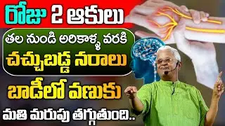 Khader Vali - శరీరంలో ఉన్న నరాలన్నీ ఉక్కులాగా అయిపోతాయి | Tips For Nerves Strength | SumanTv