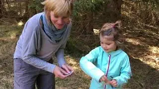 Little Explorers Club - Episode 1: Art Projects in Nature