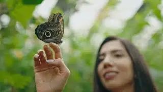 Selvatura Park, Monteverde, Costa Rica. The adventure starts here.