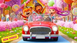 🎶💥 Maxx, Pip, Bongo, Mira and Zoey went to visit Rumi's house! 💥🎶 #