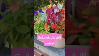 Beautiful Mixed Flower Containers #shorts - Start With Coffee Adventures