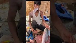 Popular Rohu Fish Cutting Skills by Expert Fish Cutter 🤭😱 || #shorts #fishcutting_skills