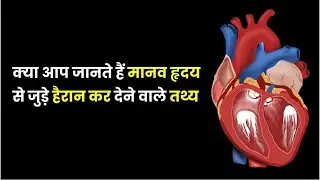 Human Heart Amazing Facts In Hindi| सबको जानना जरूरी है |: