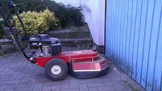 Tielb&uuml;rger Wildkrautb&uuml;rste tw50s Graufl&auml;chenreinigung L&uuml;beck Stockelsdorf S.D. Gartenpflege