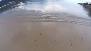 SCAGLIERI ISOLA D'ELBA