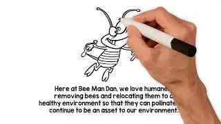 Bee Man Dan - Bee Exterminator in San Diego