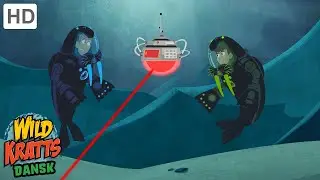 Wild Kratts Dansk | Mysteriet om den sært udseende hvalros | Fulde Afsnit