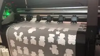 Heat Transfer PET Film Print