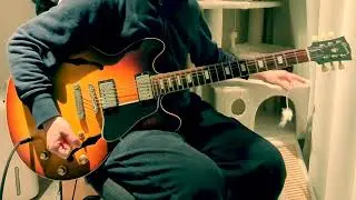 虚仮にしてくれ / ずっと真夜中でいいのに。 KOKE ZUTOMAYO Guitar cover 弾いてみた #72時間チャレンジ