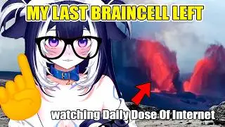 What the actual shrimp?!  Shylily Reacts to Daily Dose Of Internet🦐