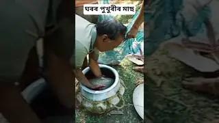 উৰুকা বুলি ঘৰৰ মাছ বিক্ৰী কৰিলোঁ #shortvideo #youtubeshorts #love #song #assam #tranding