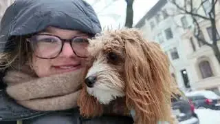 Daily Vlog 01/26/26: NYC Snow Storm