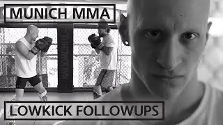 Basic Schl&auml;ge mit Lowkick Followup