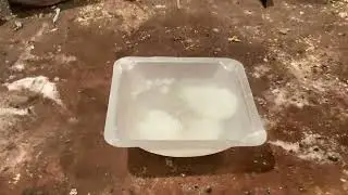 Very cold, dry ice, and ethanol, bath ￼
