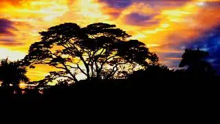 African Journey & The Healing Drum-n7_CEl6zcUw