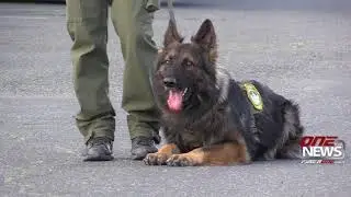 MLPD's first K9, Grant County's fourth graduate from training academy