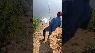 Amazing To  Carp Fishing In Village Fish || Catch Big monster @ Rohu Fishing Bait With Road Cat..