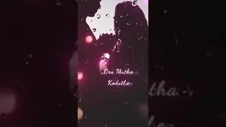 LOVE WHATSAPP STATUS 🥰🥰😊, SUPPORT 4D PLEASE ,