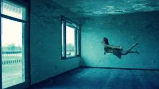 Joanna Syze - Soul is Mine (with Zardonic and Dextems)