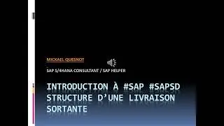 📦 D&eacute;butants SAP SD   Plongez au C&oelig;ur de la Livraison Sortante ! 📦