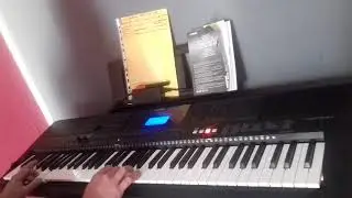 (boney M rivers of babylon)  synth&eacute; psr ew 400