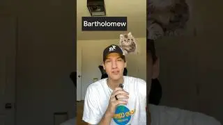 IS YOUR CAT&rsquo;S NAME UNIQUE? #viral
