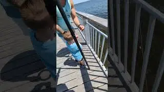 Crabbing with Chicken #fishing #crabbing #floridalife