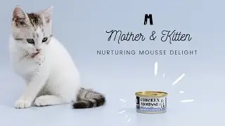 Boost Your Cat's Motherhood Journey with GiantMeow's Nutritious Mousse | Ultimate Feline Care