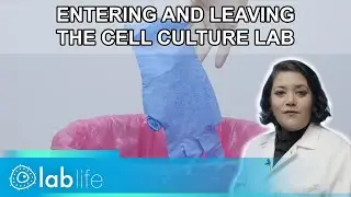 Entry & Exit Protocols for the Cell Culture Laboratory | lablife.video