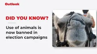 No animal cruelty this Lok Sabha election