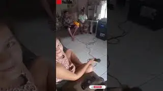 ensaios para festas