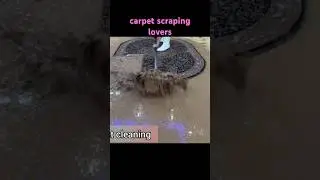 #rugscraping #rugscleaning