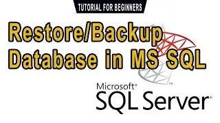 Restore and Backup Database in MS SQL