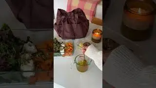 🍎 FALL SPOILER 🍎 Modern Picnic Lunch Bag