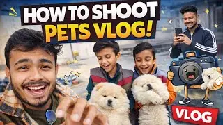 Aise shoot hoti hai 🤣 mini zoo ki video  | Mini zoo | Pets Vlog | chow chow dogs