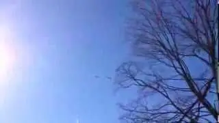 Bill Overstreet P51 Flyover 4 January 2014 Evergreen Burial Park Roanoke, Virginia