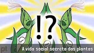 A vida social secreta das plantas | Minuto da Terra