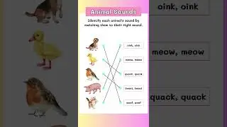 Animal Match Game 🐶🦁🐢 | Guess the Animal Sound for Kids! #shorts #happystepkid #shortfeed