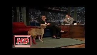[Talk Shows]Ryan Gosling's Dog has a Mohawk