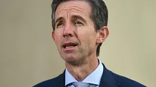 Simon Birmingham criticises Anthony Albanese for not visting Israel