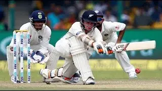 Why We Love Cricket, How's That? (And You Should, Too!)